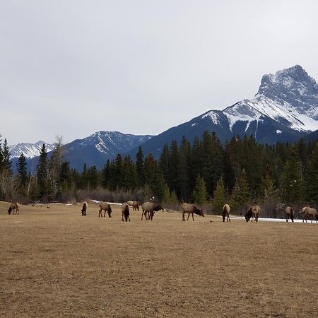 Enchanted Mountain Getaway Canmore Exterior photo